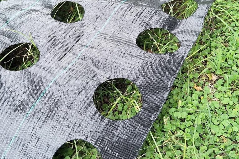 Weed Barrier Fabric: Types, Characteristics, and Corresponding ...